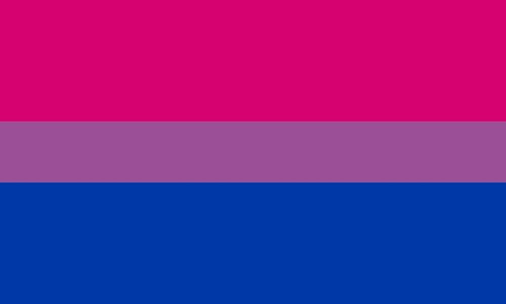 Bi Flag – Mist LGBTQ Foundation