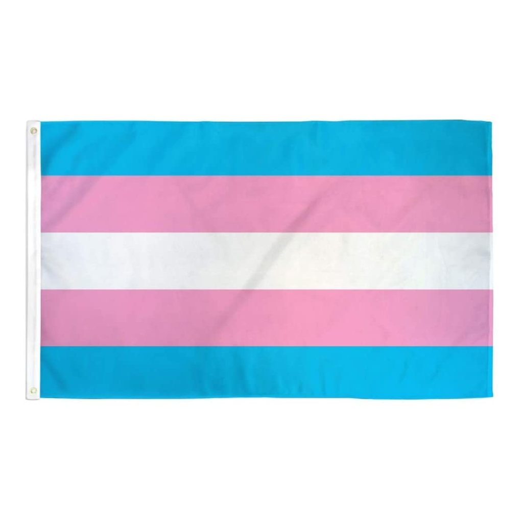 Rtiny Trans Flag Trans Flag – Mist LGBTQ Foundation