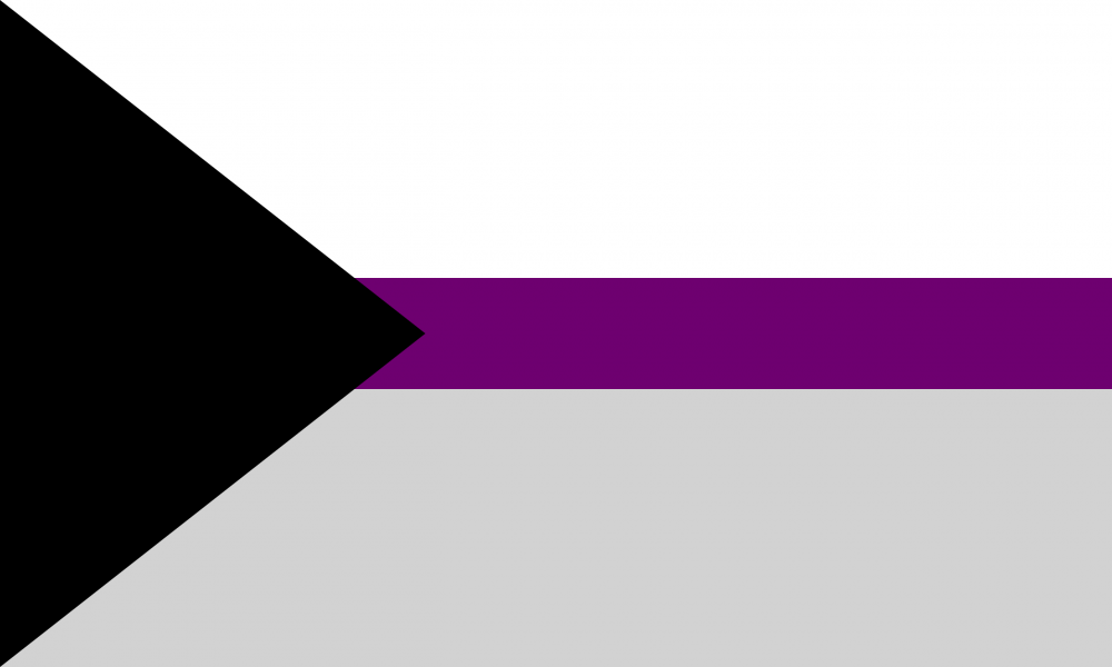 Demisexual Flag – Mist LGBTQ Foundation